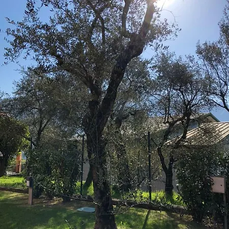 Dei Sogni Apartment Bellagio